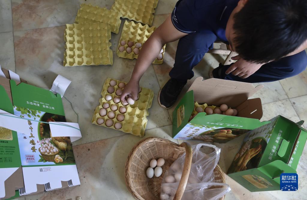 威尼斯线上现金
